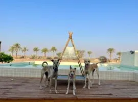Naseem Farm Escape - dog-friendly camp site
