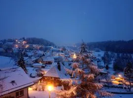 Ferienwohnung Naturpark Schwarzwald