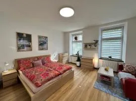 Apartmán Březová