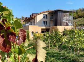 Dellavalle Guest House, Hotel in Vigliano d'Asti