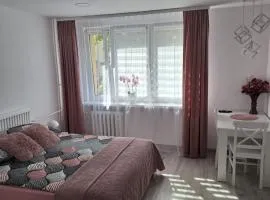 Apartament Premium Tarnów 2