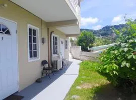 5 mins walk from Kingstown! - McKies Hill Suite #1 - Your Home Away from Home