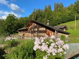 Ferienhaus Schönenmatte, Hotel in Zweisimmen