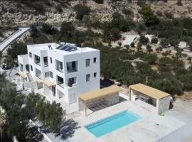TAO House