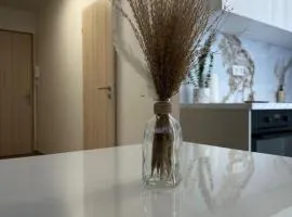 Apartman Nitra