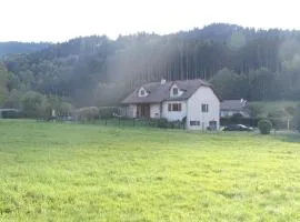 RD Vosges