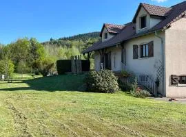 Nouveau, gîte RDVosges 5 chambres, jardin, calme, proche GERARDMER