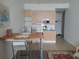 Bright and spacious studio in the vibrant city center