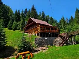 Cabana Cota 1000 Arieseni