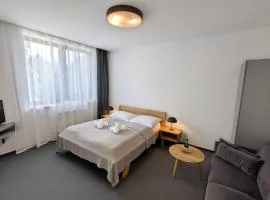 Vila Matliare