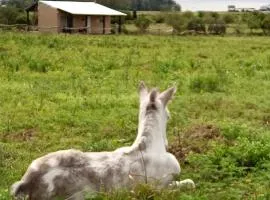 La Aruera