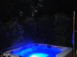 Leśna Rezydencja z plażą nad Zalewem Chańcza