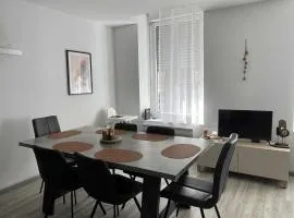 Appartement Souplex Centre de Cauterets