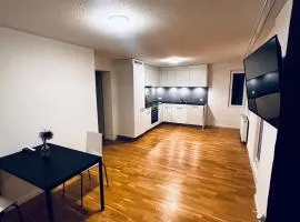 Modernes City Apartment am See, Zentral