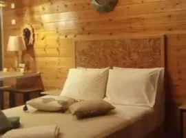Wooden Summer House