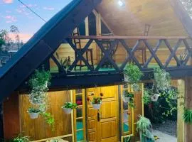 20/20 wood cabana