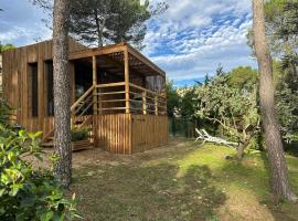 Cabane dans le Luberon - Bird in Provence, villa in Cavaillon
