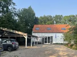 't Zeeuwse licht