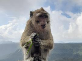 Lakaz, habitación en casa particular en Port Louis