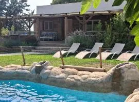 Casa Mirlo