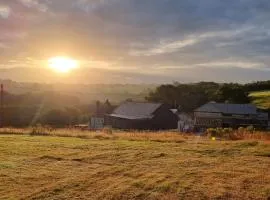 Modern Farm house with 12 acres