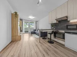 1-bedroom apartment with balcony, Rustaveliho - Rača