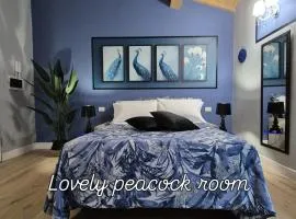 Dream Apartments alloggio turistico