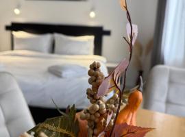Hotel Sharlota, hotel near Skopje International Airport - SKP, Skopje