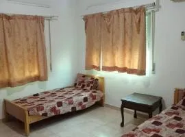 Al Martini Building Number 11