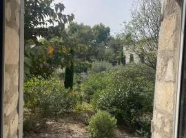 L'appart Thé - Charme apaisant au coeur des Alpilles