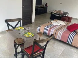 L'appart Thé - Charme discret au coeur des Alpilles
