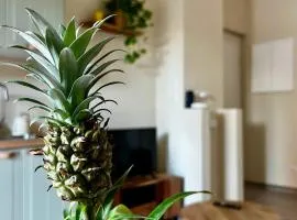 Tropical Cocoon in Monza