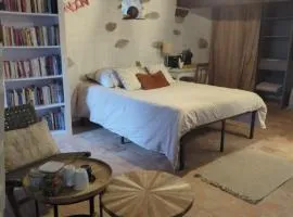 Charmante chambre avec entrée privée et salle de bain
