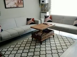 Ankara Esenboğa Airport Luxury Apart Concept