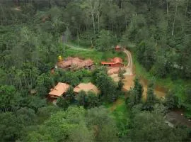 Mokha Grove Retreat