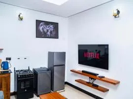 Damian Luxury Homes
