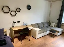 Modern Apartment in Jekabpils Nr2