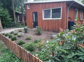 Chaletpark Kempenbos - 161