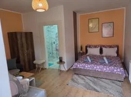 Zen apartman 7