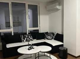 Mirror Apartments