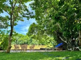 Monkeys Lodge