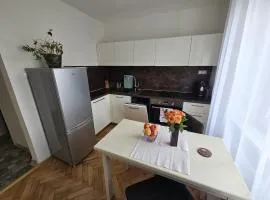 Downtown cozy apartment with free parking