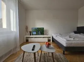 Downtown cozy apartment with free parking