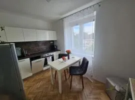 Downtown cozy apartment with free parking