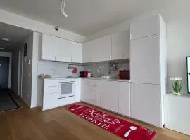 Modern Studio on the banks of the Danube