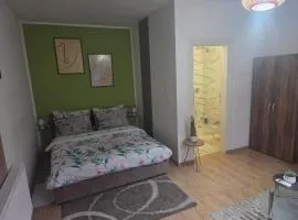 Zen apartman 8