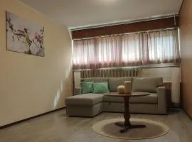 Appartamento Piano Terreno