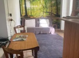 Studio pour 1 personne au cœur du Perche