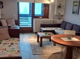 Apartman Bjanka 308