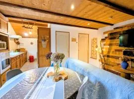 Charmant meublé au calme, proche cascades, randos, chevaux, parking et terrasse privée, WiFi gratuit - FR-1-589-365
